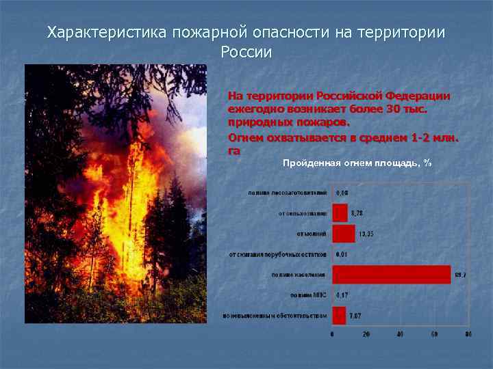 Характеристика пожарной опасности на территории России На территории Российской Федерации ежегодно возникает более 30