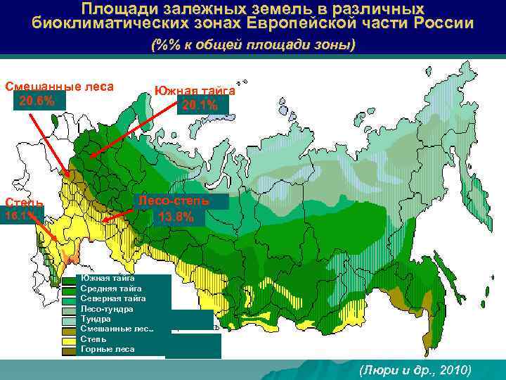 Климатическая зона тайга россии