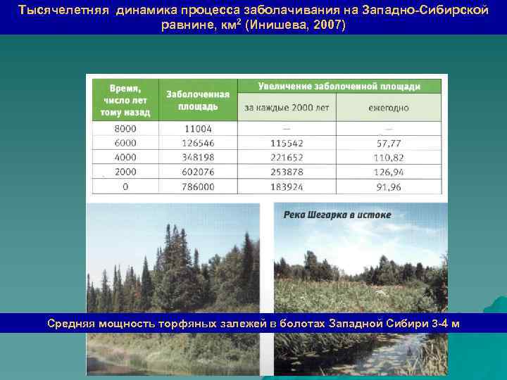 Высота западно сибирской равнины евразия. Максимальная абсолютная высота Западно сибирской равнины.