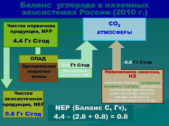 Баланс углерода в наземных экосистемах России (2010 г. ) СО 2 Чистая первичная продукция,