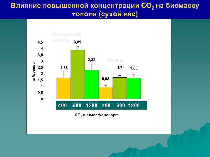 Влияние повышенной концентрации СО 2 на биомассу тополя (сухой вес) Надземная масса Корни 400