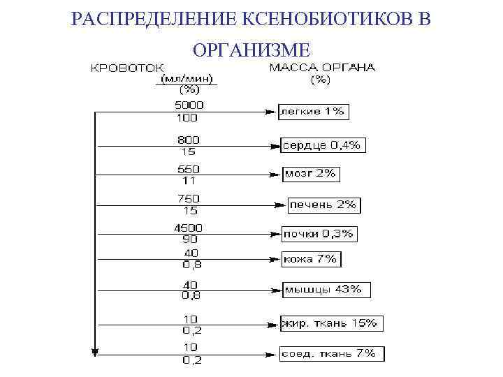 РАСПРЕДЕЛЕНИЕ КСЕНОБИОТИКОВ В ОРГАНИЗМЕ 