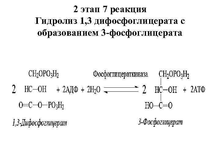 2 этап 7 реакция Гидролиз 1, 3 дифосфоглицерата с образованием 3 -фосфоглицерата 