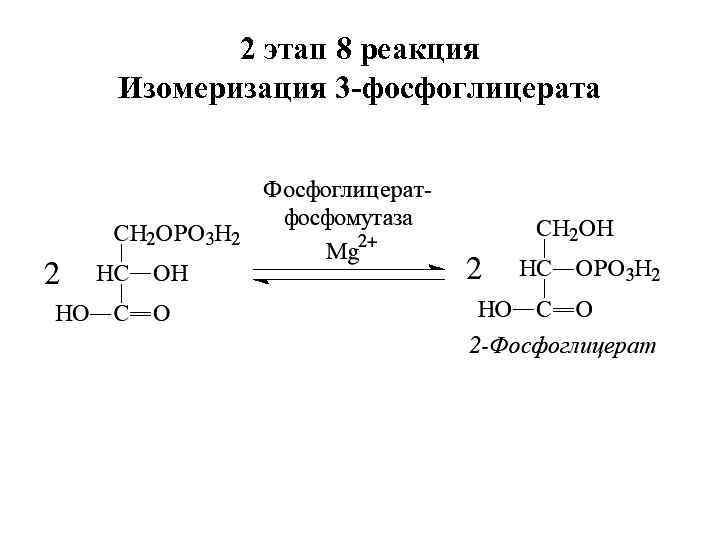 2 этап 8 реакция Изомеризация 3 -фосфоглицерата 