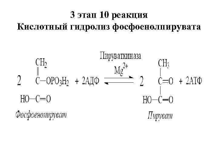 3 этап 10 реакция Кислотный гидролиз фосфоенолпирувата 