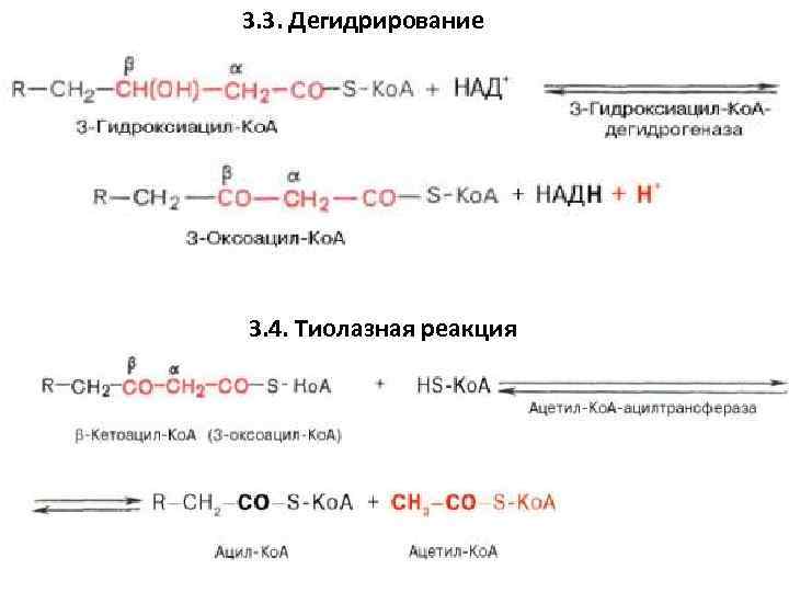 3. 3. Дегидрирование 3. 4. Тиолазная реакция 