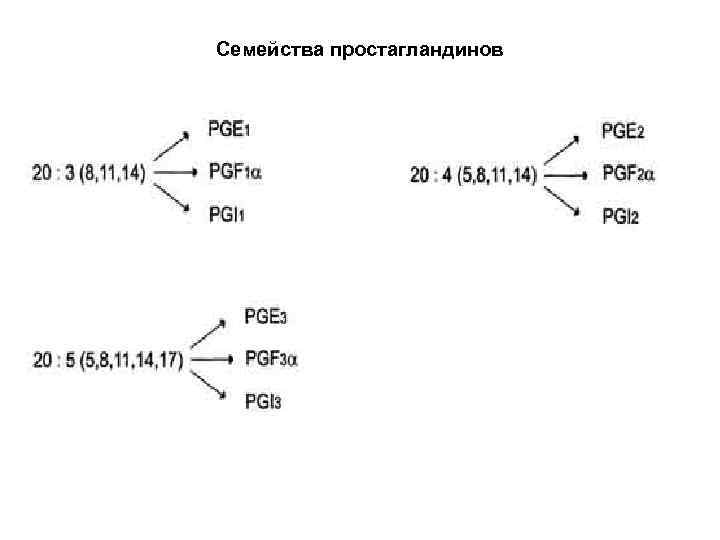 Семейства простагландинов 