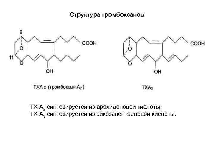 Желчные кислоты презентация