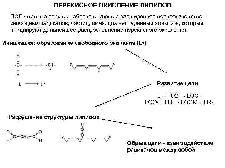 Последствия перекисного окисления липидов