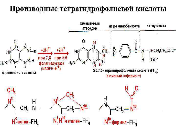 Производные тетрагидрофолиевой кислоты 