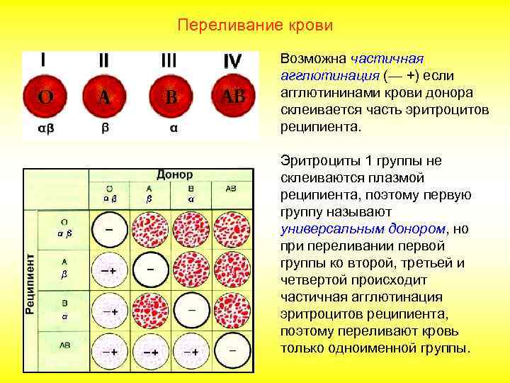 Переливание крови Возможна частичная агглютинация (— +) если агглютининами крови донора склеивается часть эритроцитов