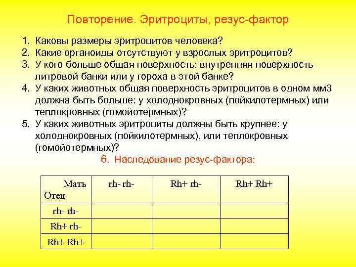 Повторение. Эритроциты, резус-фактор 1. Каковы размеры эритроцитов человека? 2. Какие органоиды отсутствуют у взрослых