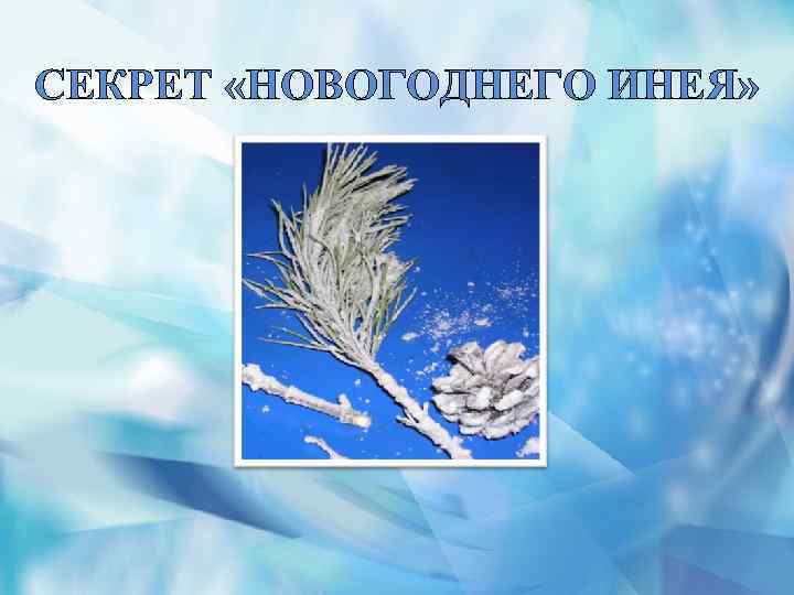 СЕКРЕТ «НОВОГОДНЕГО ИНЕЯ» 