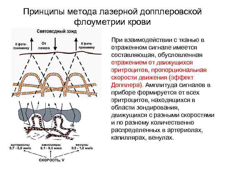 Принцип метода