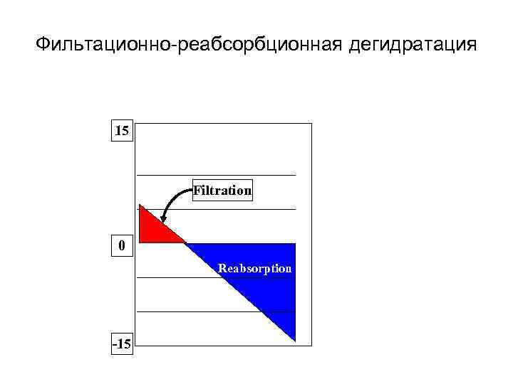 Фильтационно-реабсорбционная дегидратация 15 Filtration 0 Reabsorption -15 