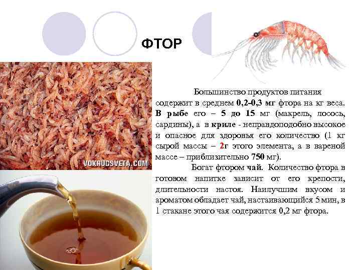 ФТОР Большинство продуктов питания содержит в среднем 0, 2 -0, 3 мг фтора на