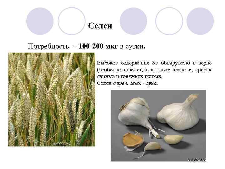 Селен Потребность – 100 -200 мкг в сутки. Высокое содержание Se обнаружено в зерне