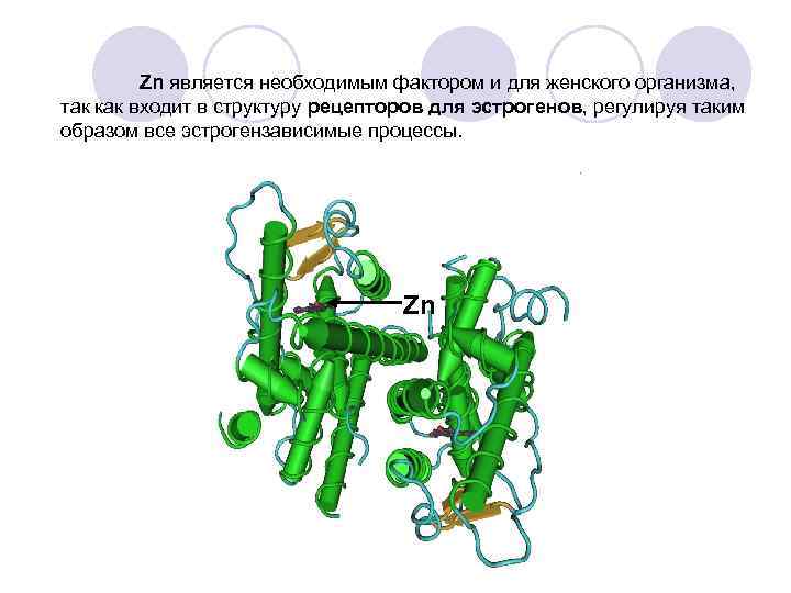 Zn является необходимым фактором и для женского организма, так как входит в структуру рецепторов