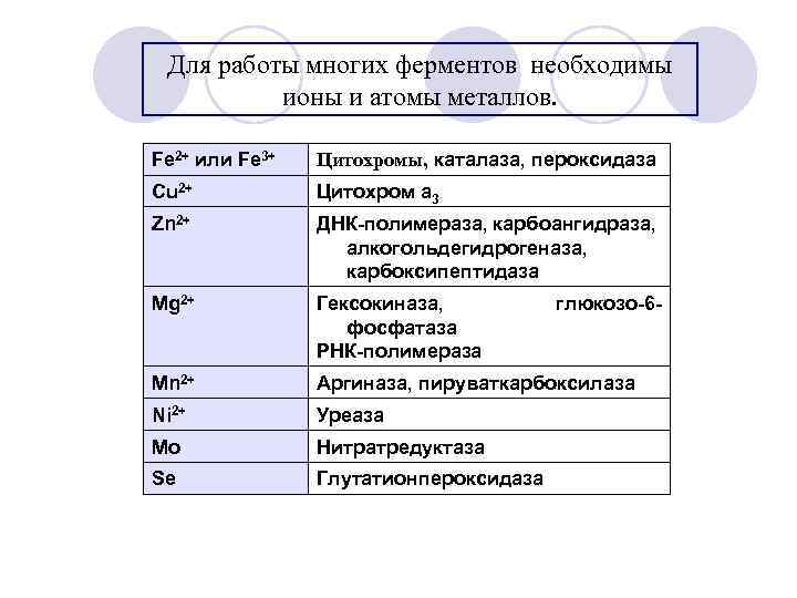 Для работы многих ферментов необходимы ионы и атомы металлов. Fe 2+ или Fe 3+