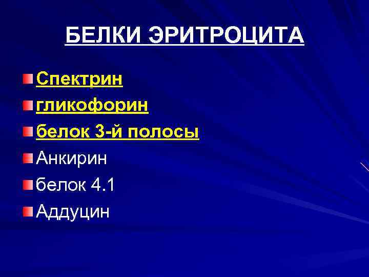 БЕЛКИ ЭРИТРОЦИТА Спектрин гликофорин белок 3 -й полосы Анкирин белок 4. 1 Аддуцин 