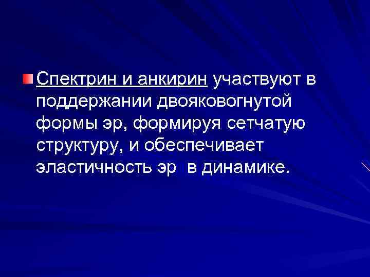 Спектрин и анкирин участвуют в поддержании двояковогнутой формы эр, формируя сетчатую структуру, и обеспечивает