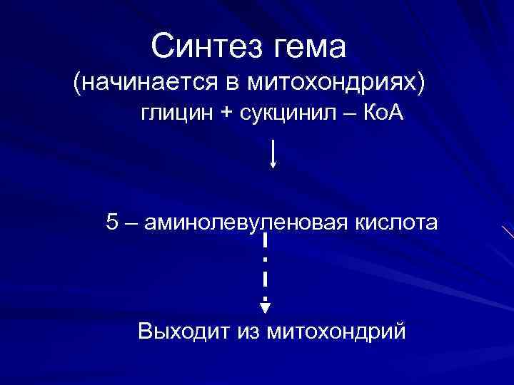 Синтез гема (начинается в митохондриях) глицин + сукцинил – Ко. А 5 – аминолевуленовая