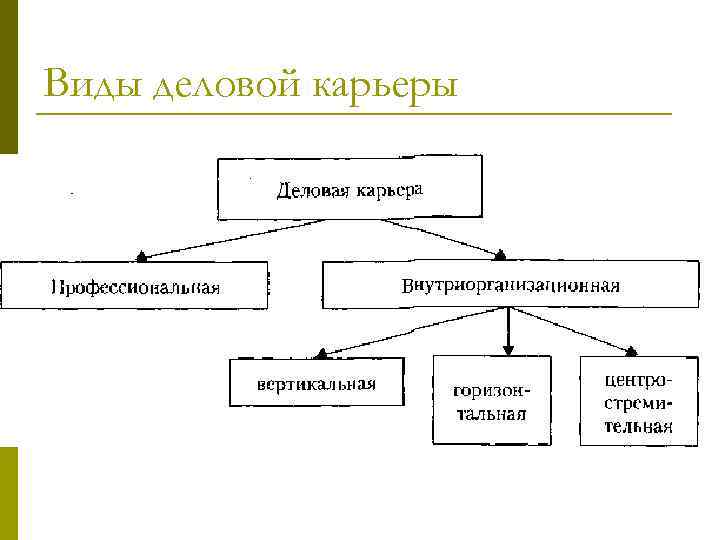 Виды деловой карьеры схема