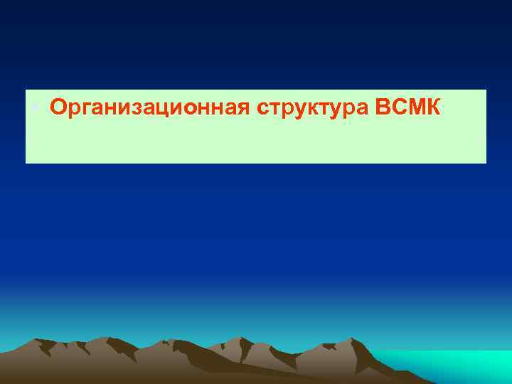  • Организационная структура ВСМК 