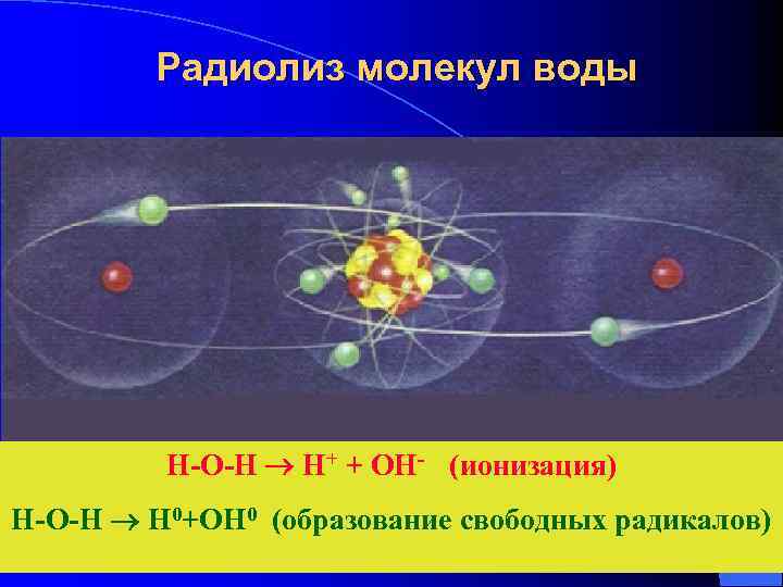 Радиолиз молекул воды H-O-H H+ + OH- (ионизация) H-O-H H 0+OH 0 (образование свободных