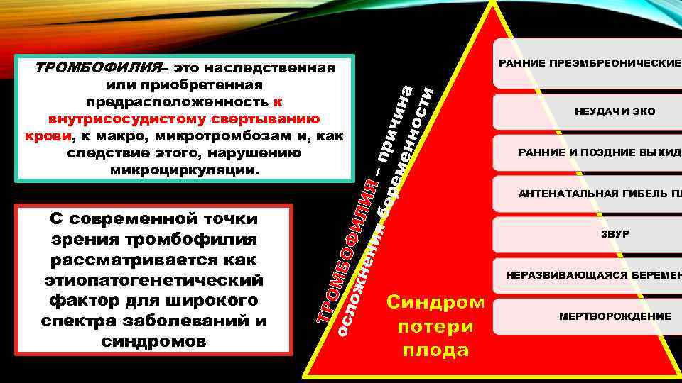 РАННИЕ ПРЕЭМБРЕОНИЧЕСКИЕ ТРОМБОФИЛИЯ– это наследственная С современной точки зрения тромбофилия рассматривается как этиопатогенетический фактор