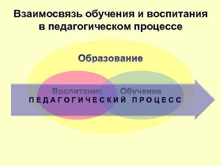 Соотношение процессов в образовании