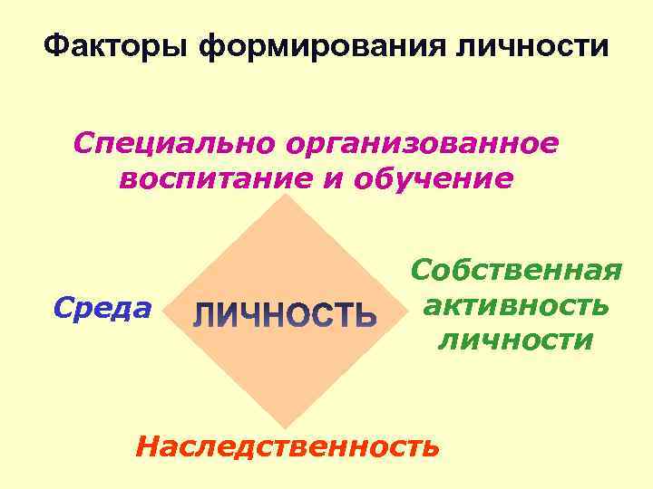 Факторы формирования личности Специально организованное воспитание и обучение Среда Собственная активность личности Наследственность 