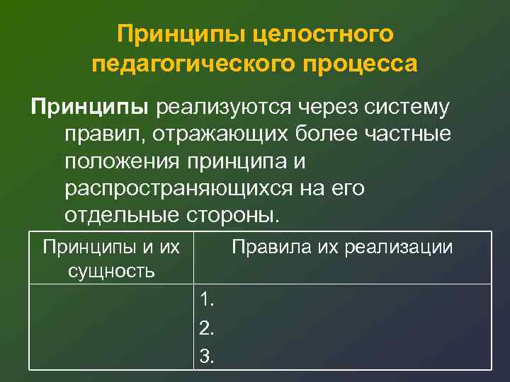 Принципы целостного педагогического процесса Принципы реализуются через систему правил, отражающих более частные положения принципа