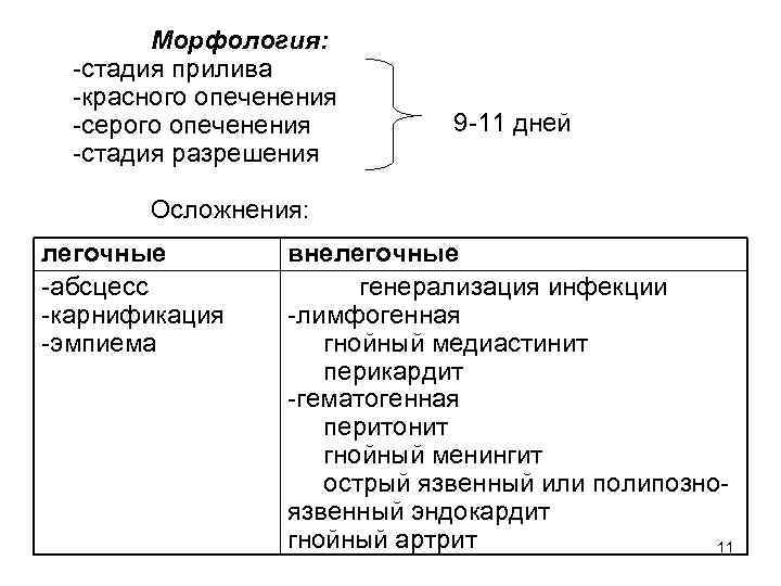 Морфология: -стадия прилива -красного опеченения -серого опеченения -стадия разрешения 9 -11 дней Осложнения: легочные