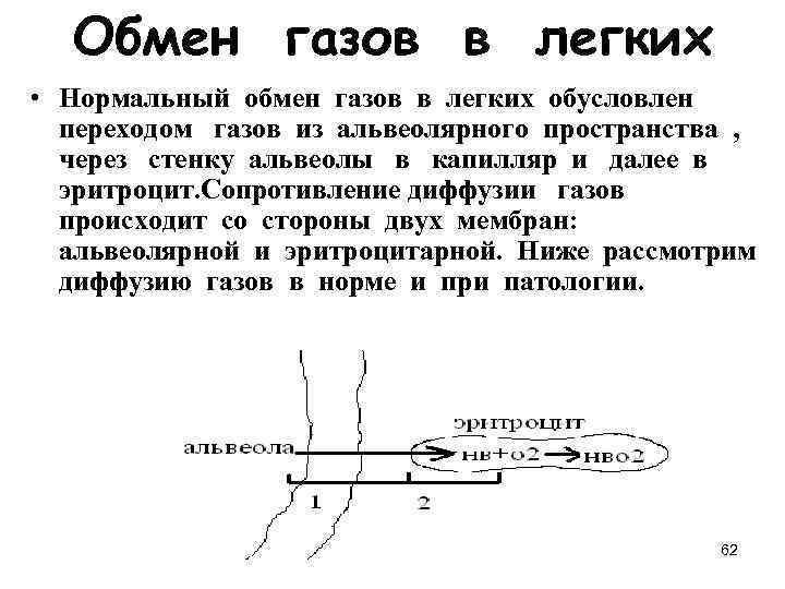 Обмен газов в легких • Нормальный обмен газов в легких обусловлен переходом газов из