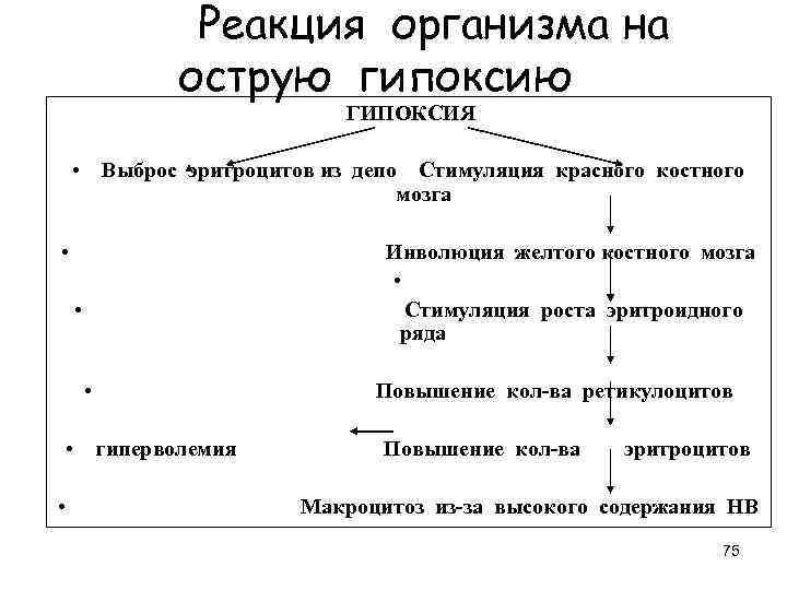  Реакция организма на острую гипоксию ГИПОКСИЯ • Выброс эритроцитов из депо Стимуляция красного