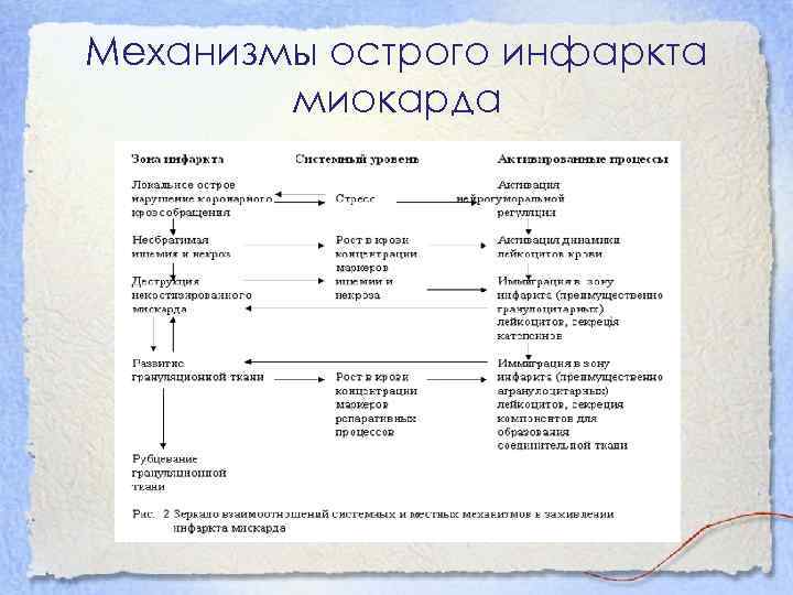 Механизмы острого инфаркта миокарда 