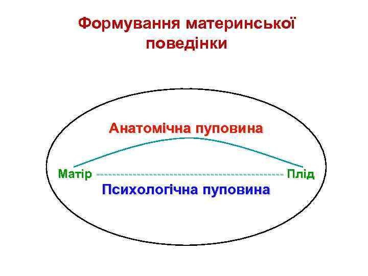 Формування материнської поведінки Анатомічна пуповина Матір ----------------------- Плід Психологічна пуповина 