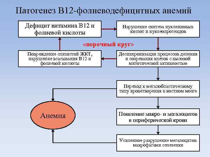 Патогенез В 12 -фолиеводефицитных анемий Дефицит витамина В 12 и фолиевой кислоты Нарушение синтеза