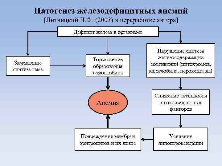 Патогенез железодефицитных анемий [Литвицкий П. Ф. (2003) в переработке автора] Дефицит железа в организме