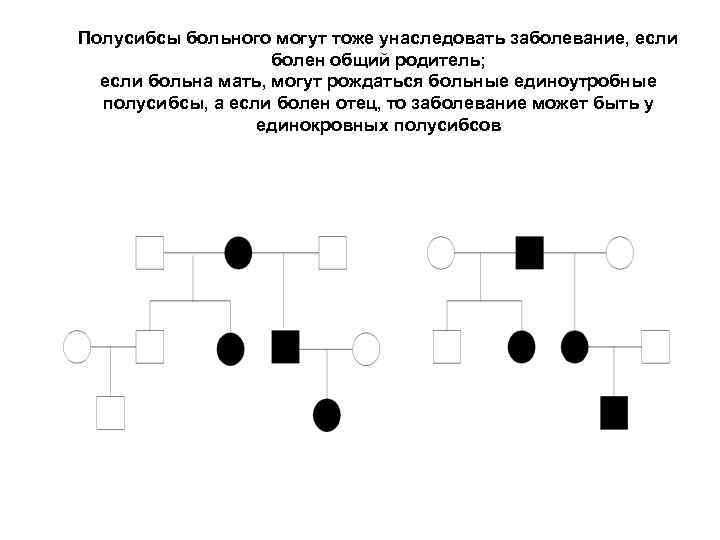 Сибсы в генетике