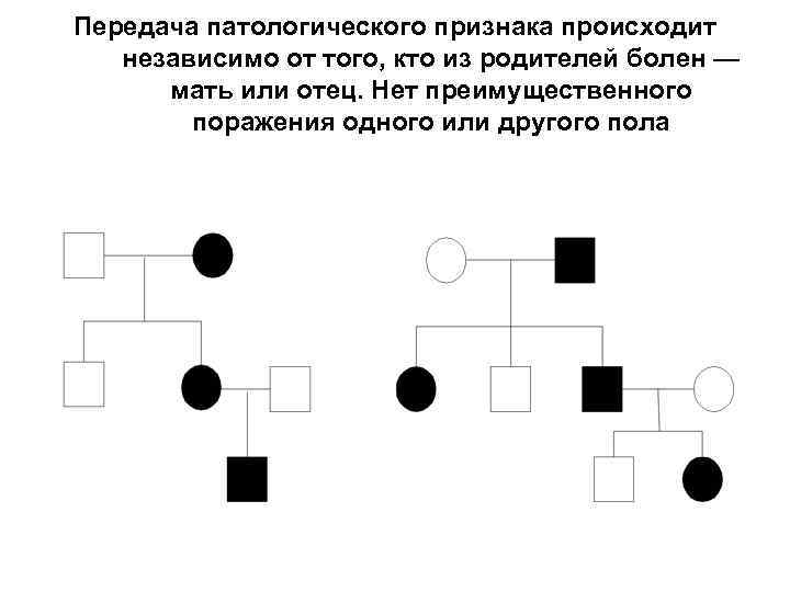 Передача патологического признака происходит независимо от того, кто из родителей болен — мать или