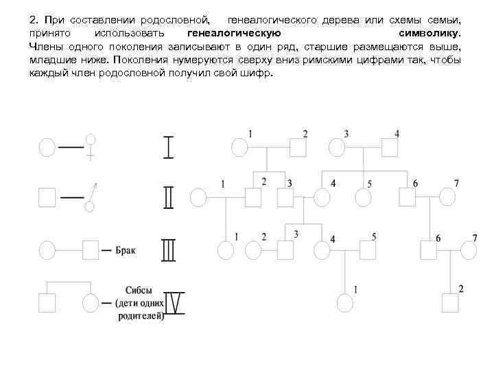 Составить схему родословной