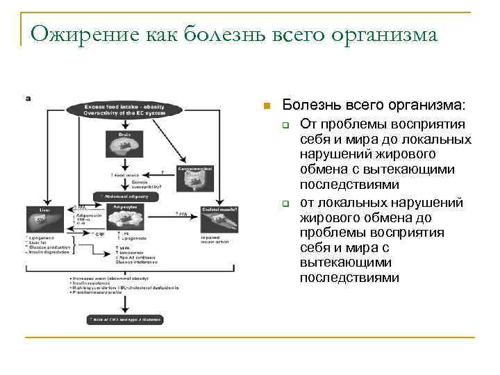 Ожирение как болезнь всего организма n Болезнь всего организма: q q От проблемы восприятия
