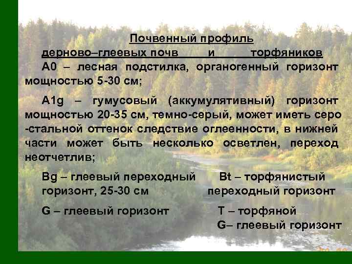 Почвенный профиль дерново–глеевых почв и торфяников А 0 – лесная подстилка, органогенный горизонт мощностью