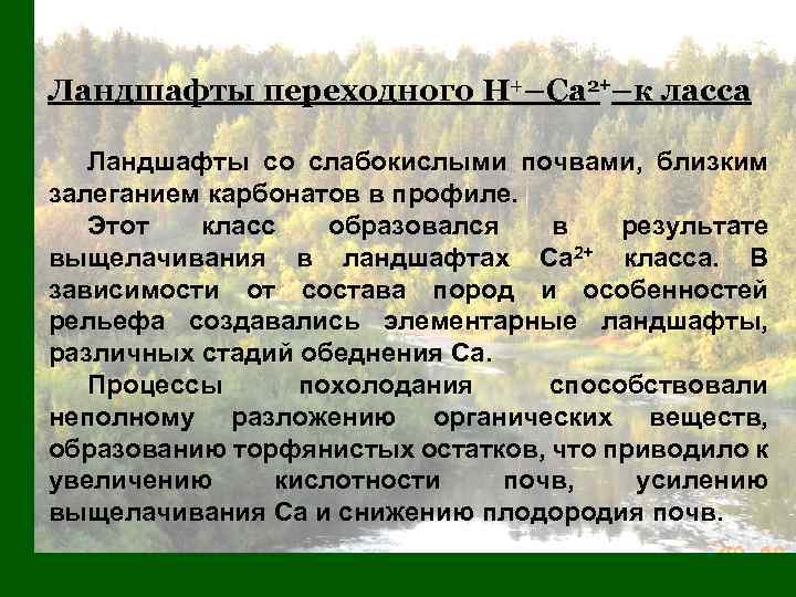 Ландшафты переходного H+–Са 2+–к ласса Ландшафты со слабокислыми почвами, близким залеганием карбонатов в профиле.