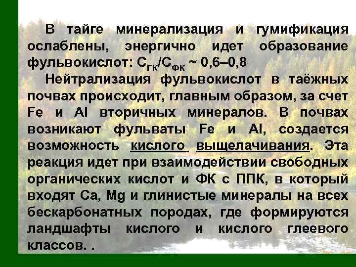 В тайге минерализация и гумификация ослаблены, энергично идет образование фульвокислот: СГК/СФК ~ 0, 6–