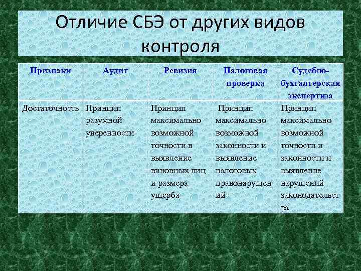 Отличие СБЭ от других видов контроля Признаки Аудит Достаточность Принцип разумной уверенности Ревизия Налоговая