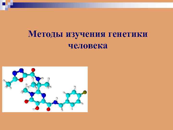 Методы изучения генетики человека 