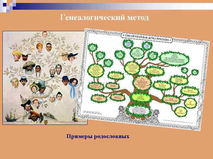 Генеалогический метод Примеры родословных 